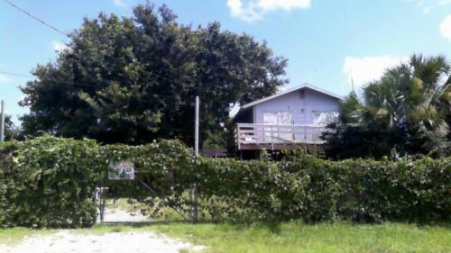Front Image