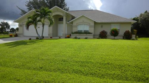 Front Image