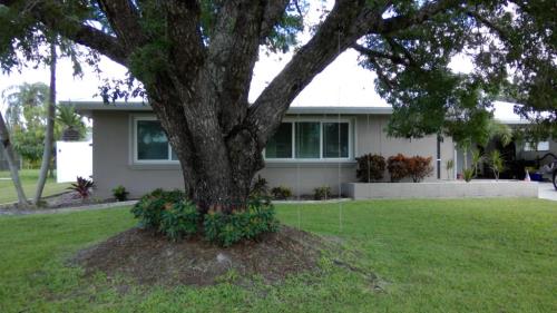 Front Image