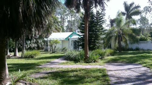 Front Image