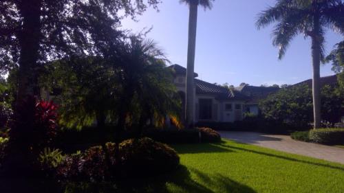 Front Image