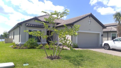 19536 Estero Pointe Ln  