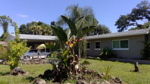 Front Image