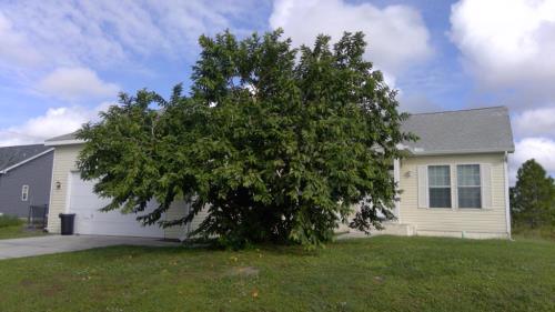 Front Image