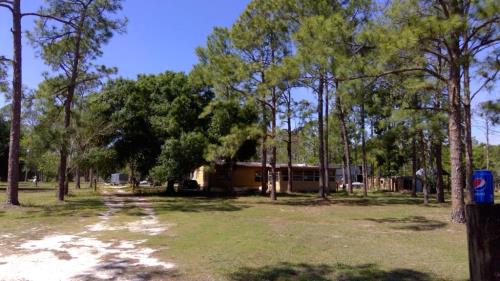 Front Image