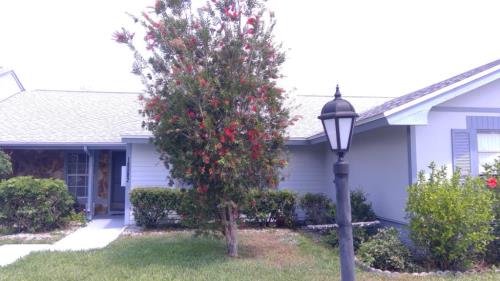 Front Image