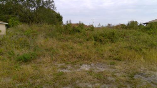 Front Image