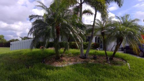 Front Image