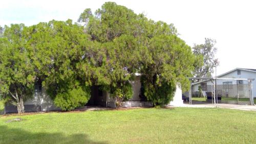 Front Image