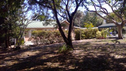 Front Image