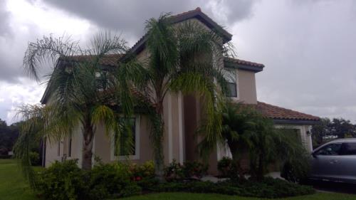Front Image