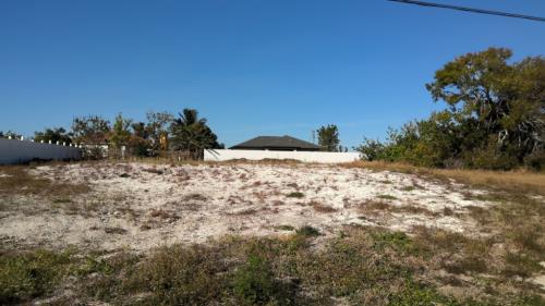 Front Image