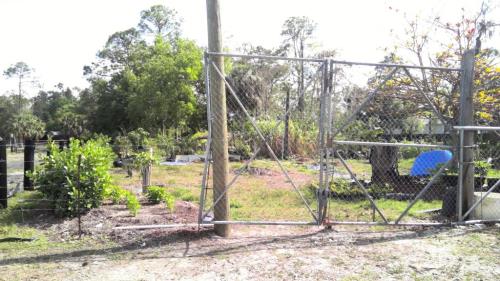 Front Image