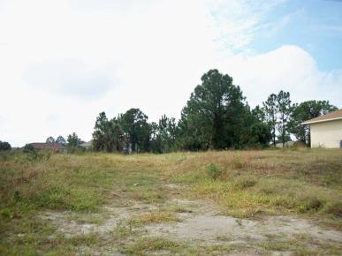 Front Image