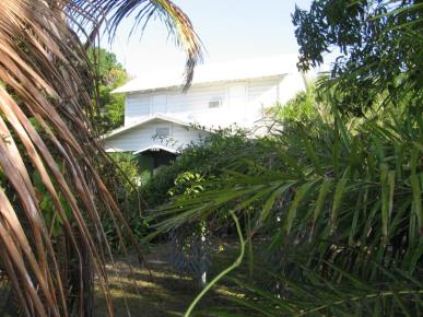 Front Image