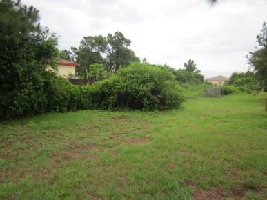 Front Image