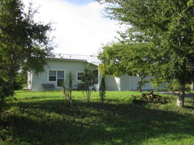 Front Image