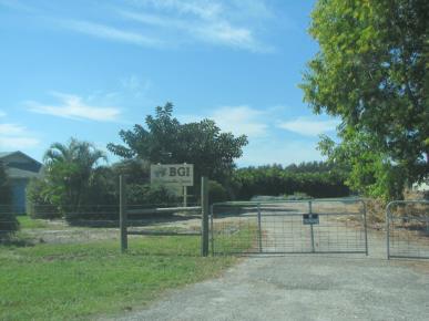 Front Image