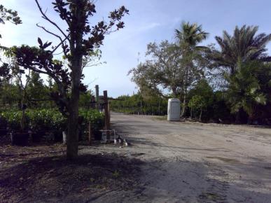 Front Image