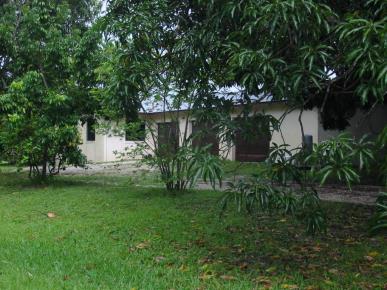Front Image