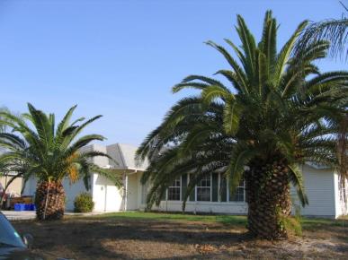 Front Image
