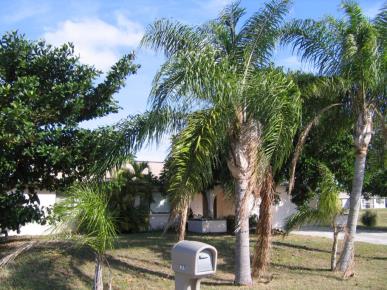 Front Image