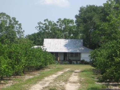 Front Image