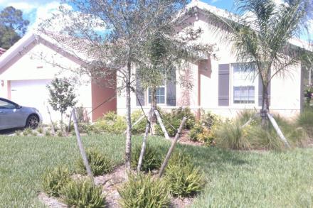 Front Photo